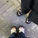 [#주간일기 다섯번째]핑크머리한날
