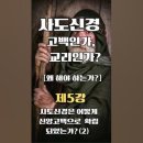 사도신경 고백인가, 교리인가? 왜 해야 하는가? [제5강] 사도신경은 어떻게 신앙고백으로 확립되었는가?(2) 이미지