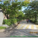 서호꽃뫼 이미지