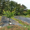 한울농장2 이미지