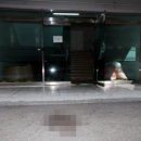 국민일보 주식회사 이미지