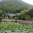 유림조경 이미지