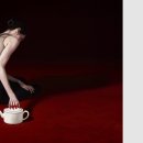 선샤인퍼피 이미지