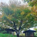 동명지 수변생태공원 1주차장 이미지