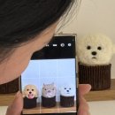 워너비독 이미지