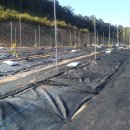 포포농장 이미지