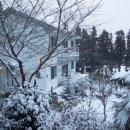 제주카사블랑카 이미지