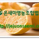 온새미 영농법인 이미지