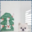 빵실빵실 | 충주연수애견미용 애견 미용의 새로운 기준, 빵실빵실 후기