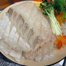 청량리회집 | 청량리 횟집 스끼다시 맛집 인정 심도횟집 방문 후기!