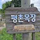 평촌농장 이미지