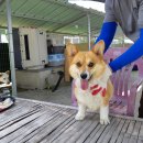 하대동343 이미지