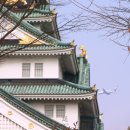 로밍PC카페 | [공지] 일본 오사카 가족 여행 4박 5일 일정 및 경비 정리