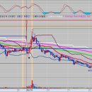 에브리헬스케어 이미지