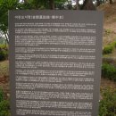 중본 Daum카페