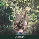 낫시드맨즈헤어