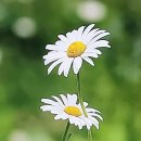 세상을 행복하게 만들어주는 배려. 이미지