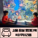 롯데타워 | 잠실 롯데 월드타워 아쿠아리움 후기 야간할인 서울 아이랑 실내 나들이