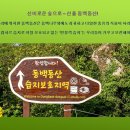 2019. 4. 21.(일) 신비로운 숲으로 - 선흘 동백동산 걷기 (번개 도보) 이미지