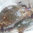 하경농장 이미지