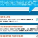우리가족동물약국 네이버블로그