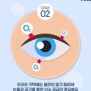 대구 알콘 나이트앤데이 / 나이트앤데이 1팩 46,000원 / 2팩 구매 시 토탈30 1쌍 추가증정 이미지