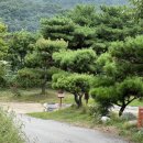 서가무주 | 전북 무주 독채 숙소 추천 : 서가무주, 자연 속 쉼의 공간