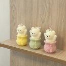 비니드니 이미지