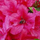 장수초교 이미지