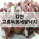 고흥녹동세발낙지 | 감천 맛집 고흥녹동세발낙지 왜 이제 알았을까!