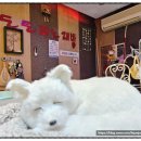 도토리 노래연습장 이미지