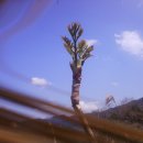 하나농장 이미지