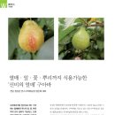 빈스구아바농장 이미지