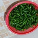 할라피뇨(퍼팩트고추) 피클 이미지