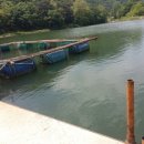 장전낚시터 이미지