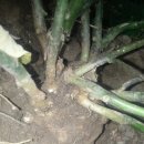 서천농장 이미지