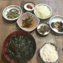 나비 불한증막 이미지