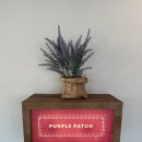 퍼플패치(PURPLE PATCH) 이미지