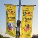 전국아랑고고장구예술인협회 이미지