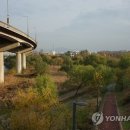 탄천 연원마을 이미지