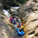 온숲어린이집 이미지