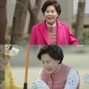 욜로마이#