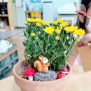 삼죽초교병설유치원 이미지