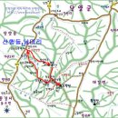 단양축협 앞 Daum카페