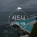 칠승야채마트 | [호주 시드니 여행] 8박 9일 시드니 4일차 후기_PCP, AP House, 주립도서관, 본다이비치, 아이스버그...