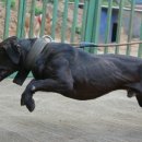 대식농장 이미지