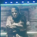 그린빈 버찌라이브하우스 | 대구여자는 대전이 좋아서