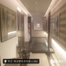 태성형외과의원 이미지