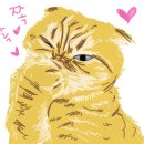 난니꼬양 네이버블로그