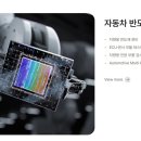 삼우가족 티스토리